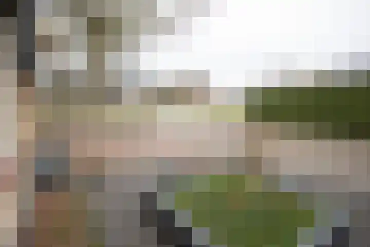 Primulastraat 35 Wierden thumbnail 8
