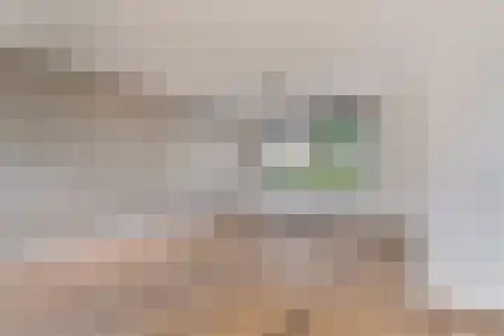 Primulastraat 39 Purmerend thumbnail 8