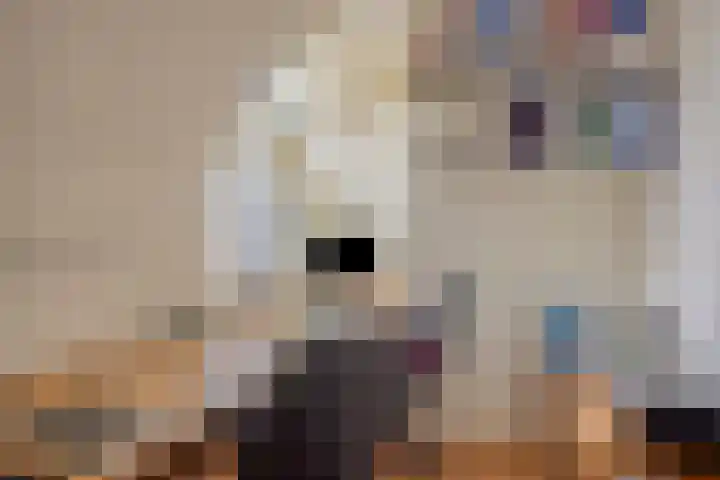 Princehof 22 Eefde thumbnail 10