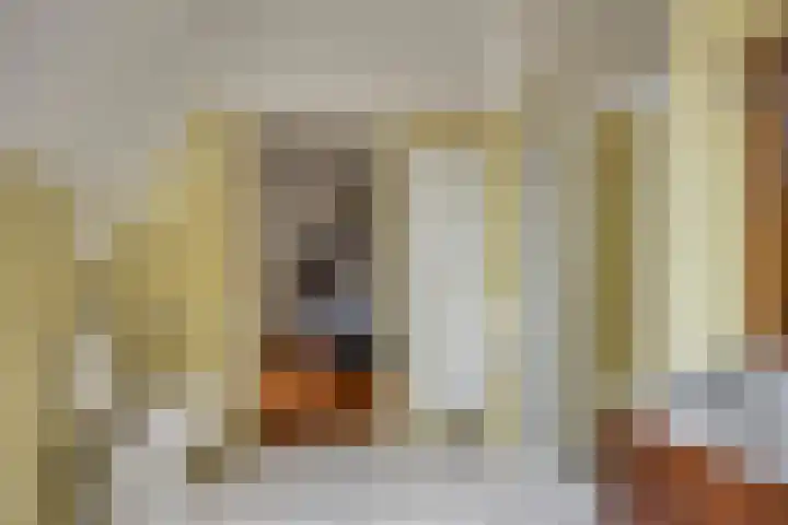 Princehof 22 Eefde thumbnail 16