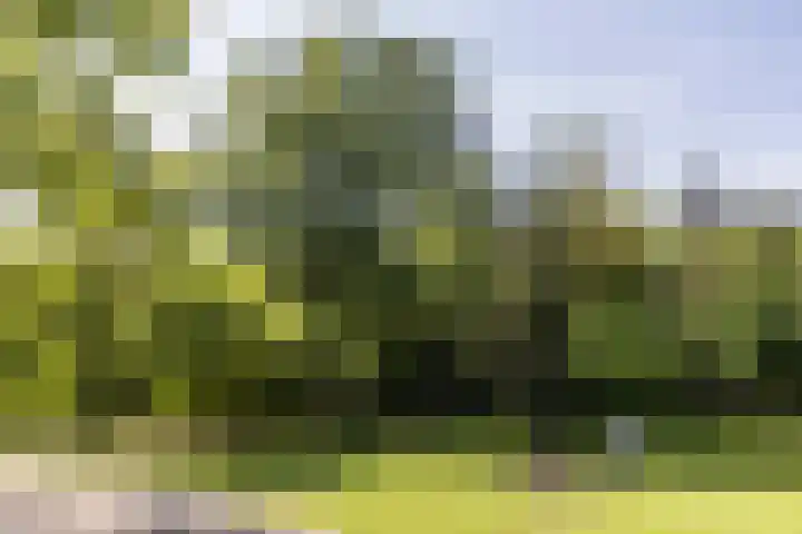 Princehof 22 Eefde thumbnail 19