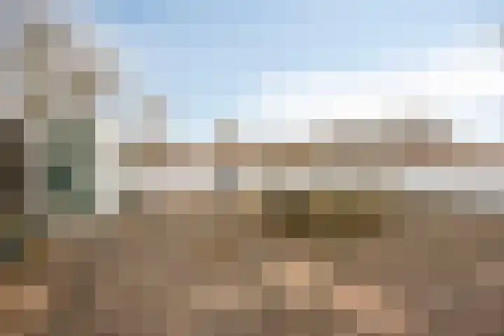 Princehof 22 Eefde thumbnail 22