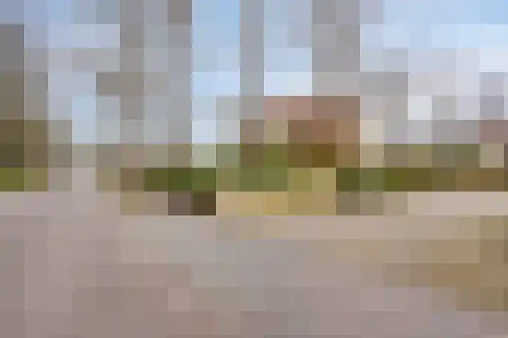 Princehof 22 Eefde thumbnail 32