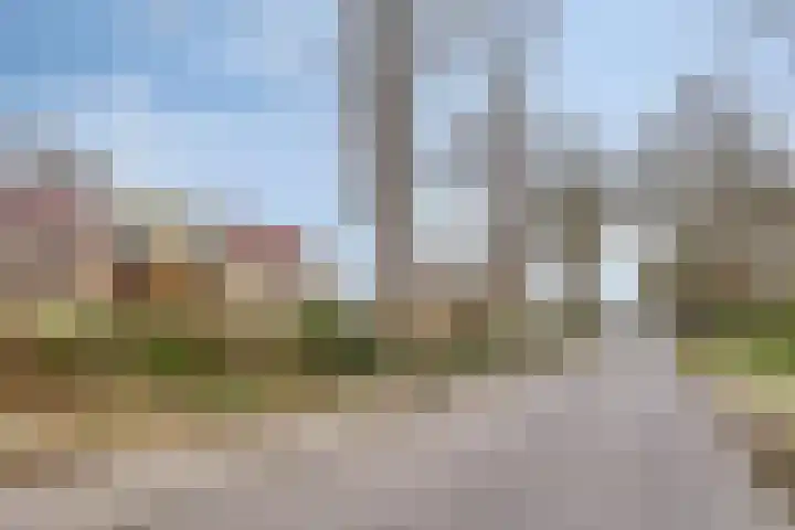 Princehof 22 Eefde thumbnail 33