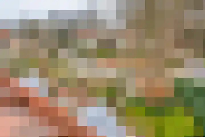 Princehof 22 Eefde thumbnail 35