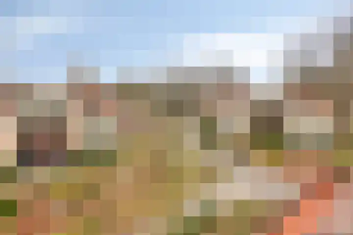 Princehof 22 Eefde thumbnail 36