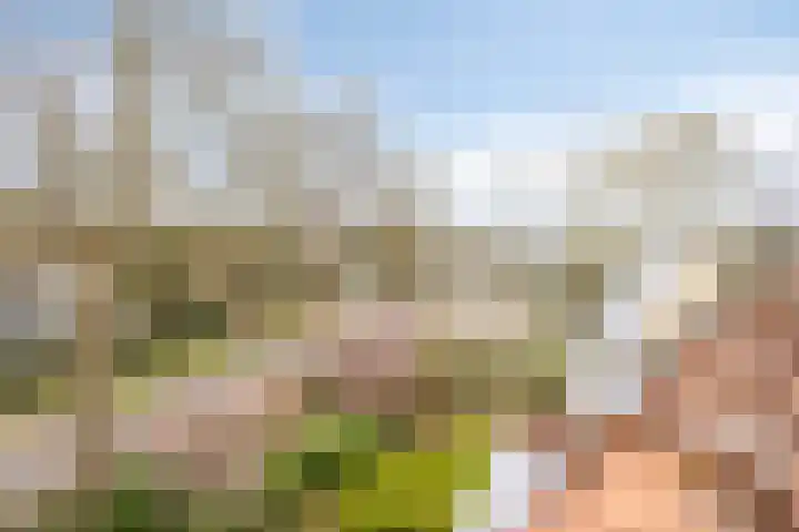 Princehof 22 Eefde thumbnail 37