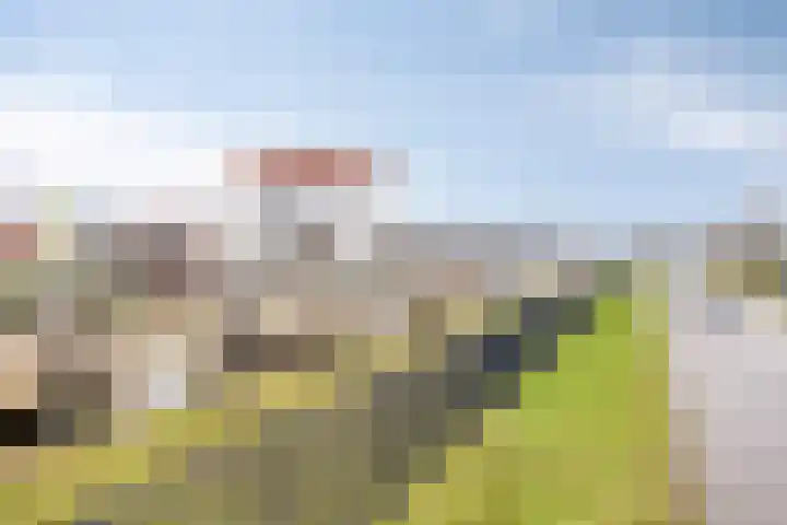 Princehof 22 Eefde thumbnail 38