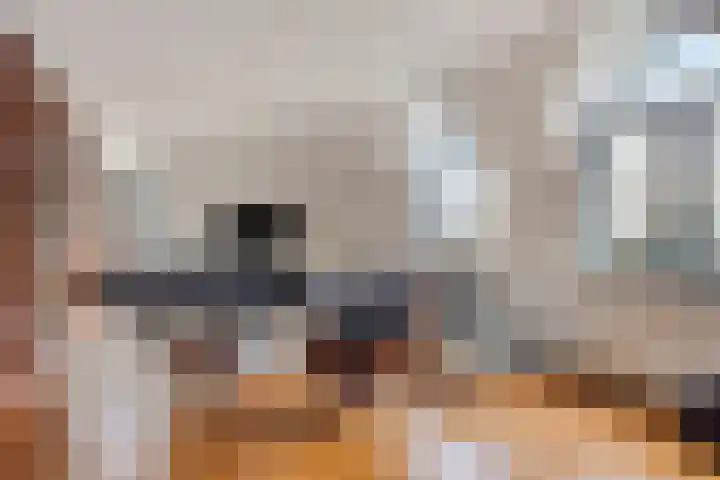 Princehof 22 Eefde thumbnail 4