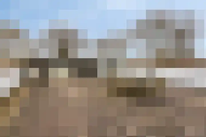Princehof 22 Eefde thumbnail 40