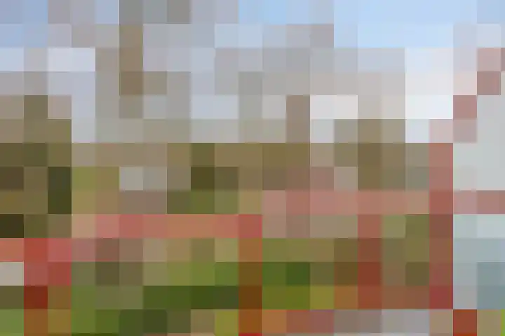 Princehof 22 Eefde thumbnail 9