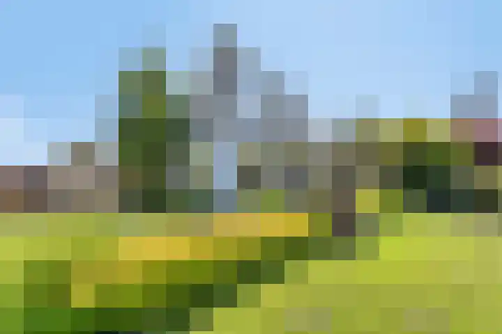 Princenhil 27 in Lage Zwaluwe