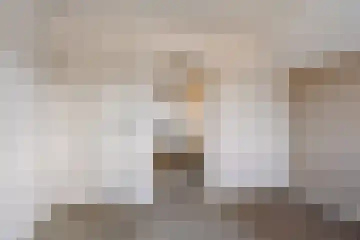 Prins Bernhardlaan 20 Heeze thumbnail 12
