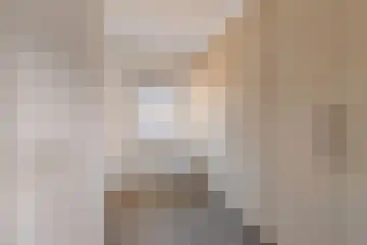 Prins Bernhardlaan 20 Heeze thumbnail 13