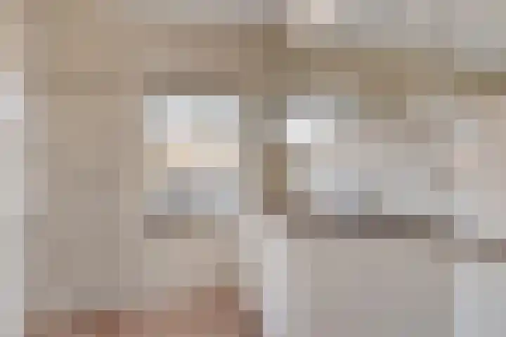 Prins Bernhardlaan 20 Heeze thumbnail 15