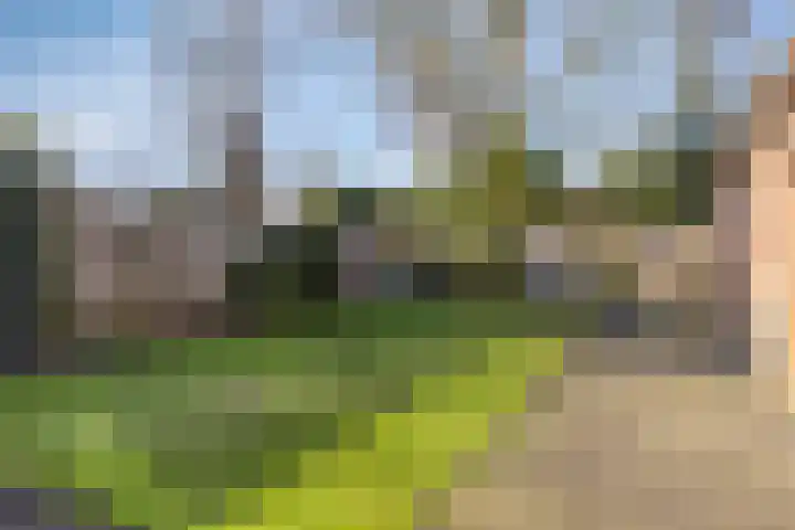Prins Bernhardlaan 20 Heeze thumbnail 20