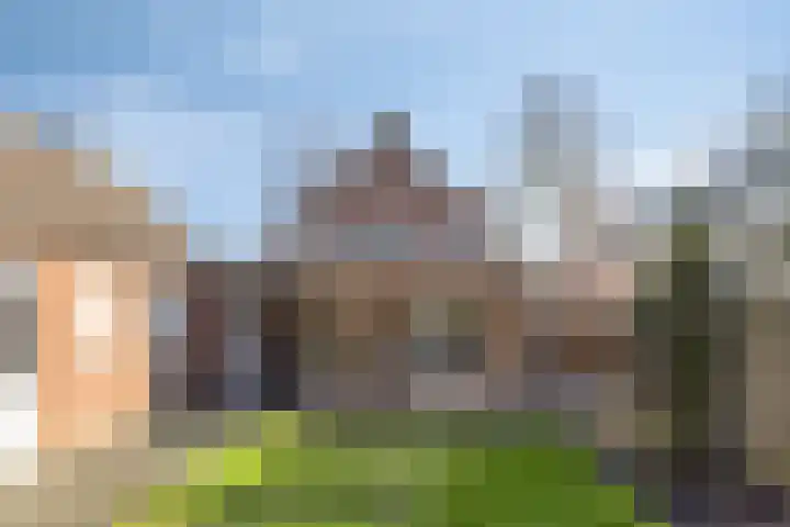 Prins Bernhardlaan 20 Heeze thumbnail 21