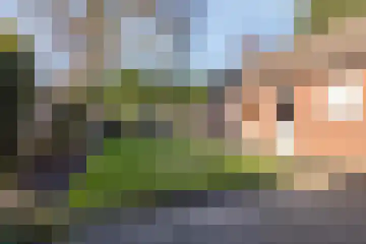Prins Bernhardlaan 20 Heeze thumbnail 22