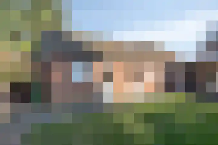 Prins Bernhardlaan 20 Heeze thumbnail 23