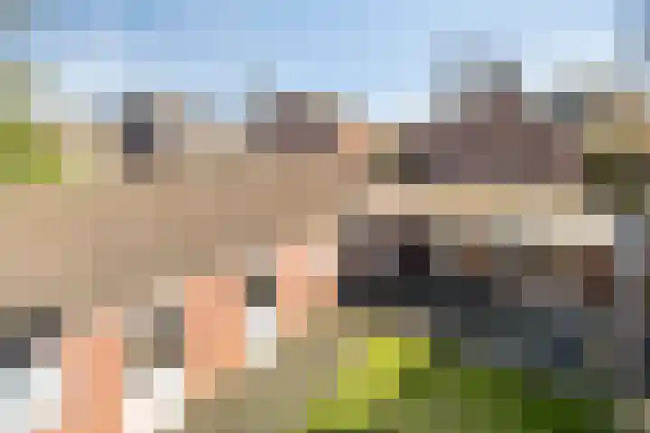 Prins Bernhardlaan 20 Heeze thumbnail 27