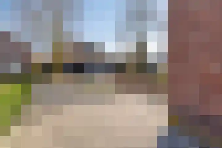 Prins Bernhardlaan 20 Heeze thumbnail 28