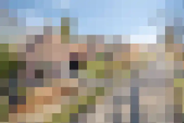 Prins Bernhardlaan 20 Heeze thumbnail 30