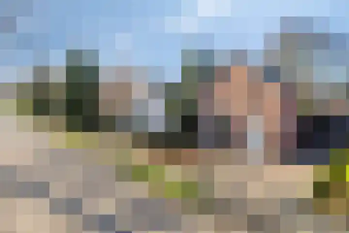 Prins Bernhardlaan 20 Heeze thumbnail 31