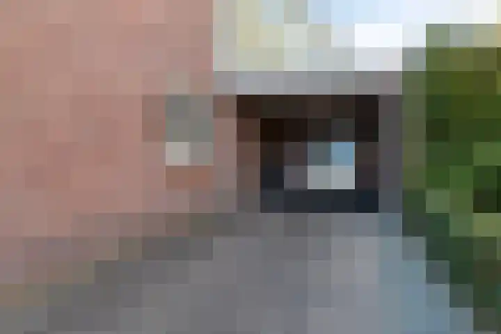 Prins Bernhardlaan 20 Heeze thumbnail 32