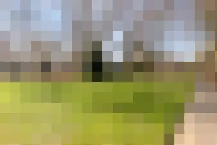 Prins Bernhardlaan 20 Heeze thumbnail 33