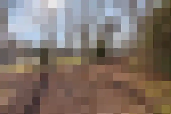 Prins Bernhardlaan 20 Heeze thumbnail 34