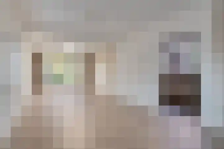 Prins Bernhardlaan 20 Heeze thumbnail 4
