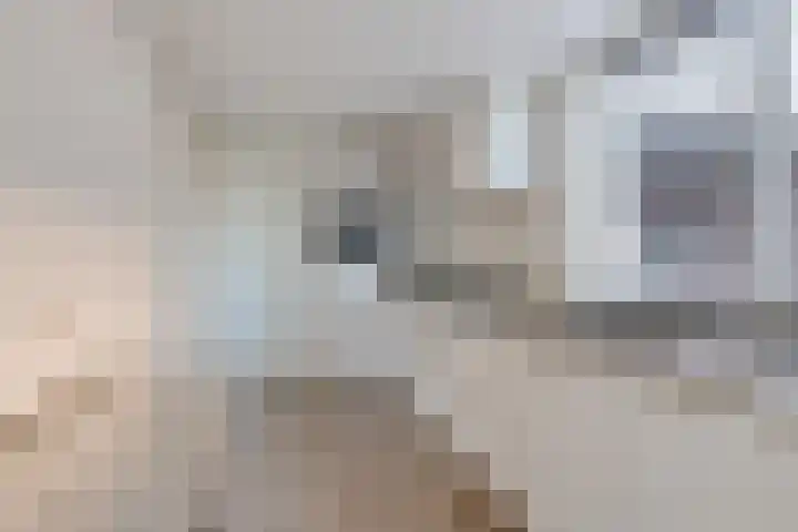 Prins Bernhardlaan 20 Heeze thumbnail 7