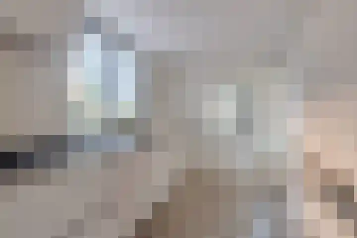 Prins Bernhardlaan 20 Heeze thumbnail 8