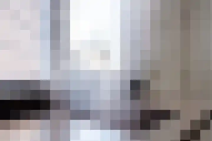 Prins Bernhardlaan 20 Heeze thumbnail 9