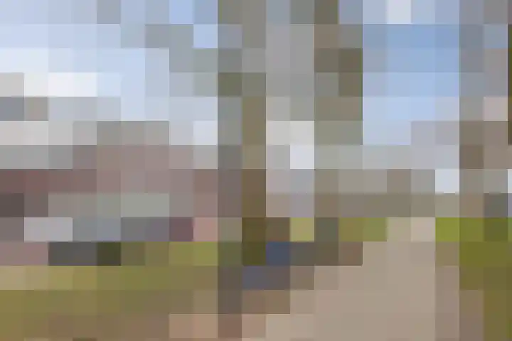 Prins Bernhardlaan 3 Vught thumbnail 34