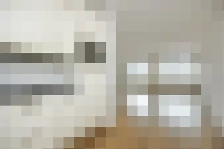 Prins Bernhardlaan 3 Vught thumbnail 9