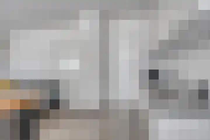 Prins Bernhardlaan 96 Gemert thumbnail 10