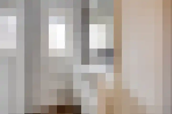 Prins Bernhardlaan 96 Gemert thumbnail 14