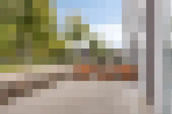 Prins Bernhardlaan 96 Gemert thumbnail 19