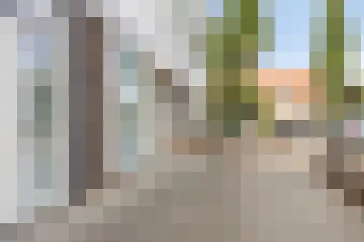 Prins Bernhardlaan 96 Gemert thumbnail 20