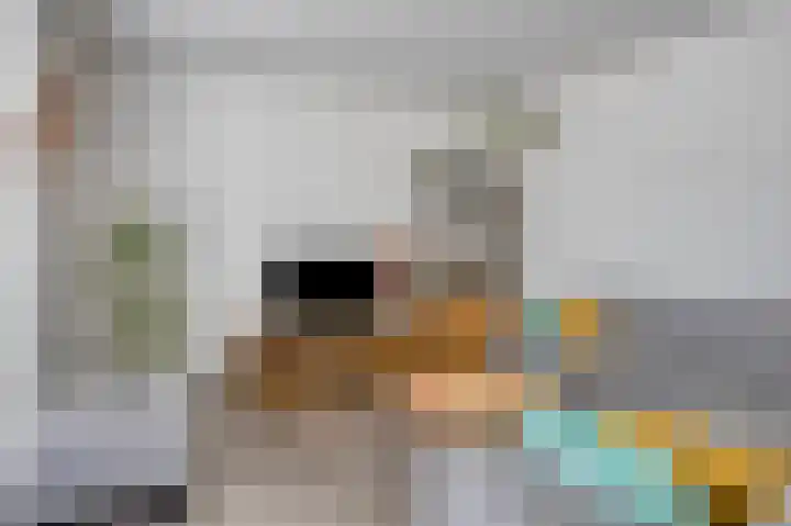 Prins Bernhardlaan 96 Gemert thumbnail 4