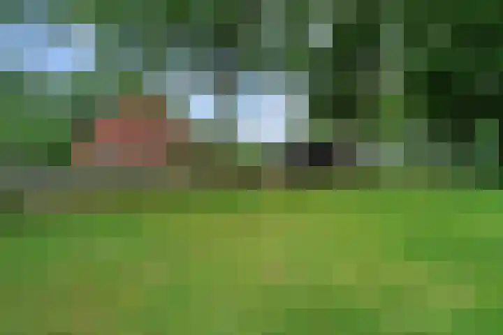 Prins Bernhardpark 2 Enschede thumbnail 8