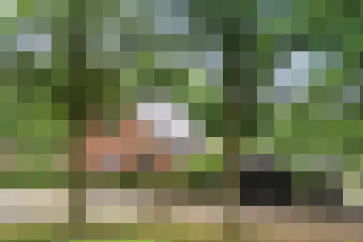 Prins Bernhardpark 2 Enschede thumbnail 9