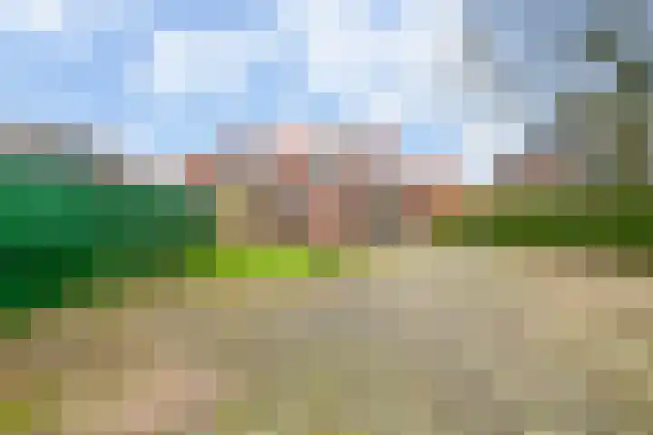 Prins Bernhardstraat 15 Didam thumbnail 23