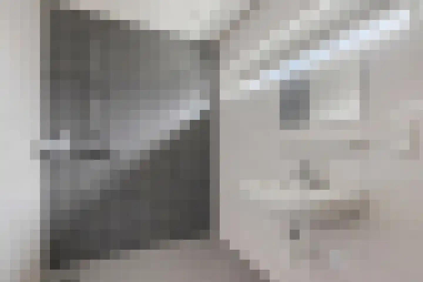 Prins Bernhardstraat 17 Didam thumbnail 12