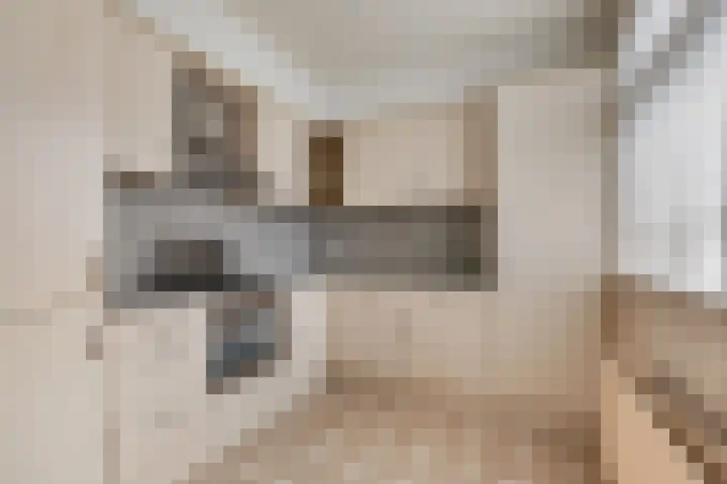 Prins Bernhardstraat 17 Didam thumbnail 7
