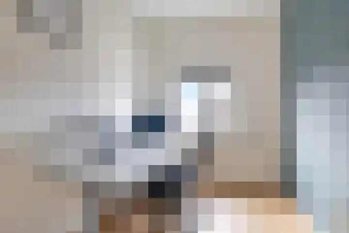 Prins Bernhardstraat 29 Wehl thumbnail 32