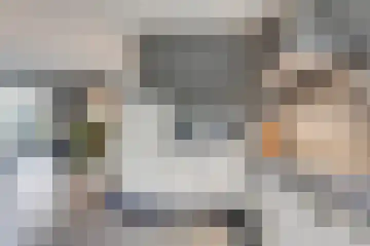 Prins Bernhardstraat 3 Duiven thumbnail 21