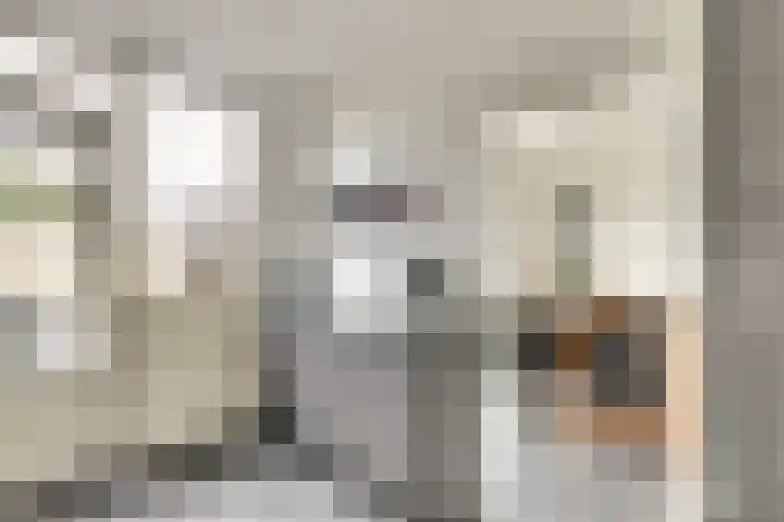 Prins Bernhardstraat 3 Everdingen thumbnail 12