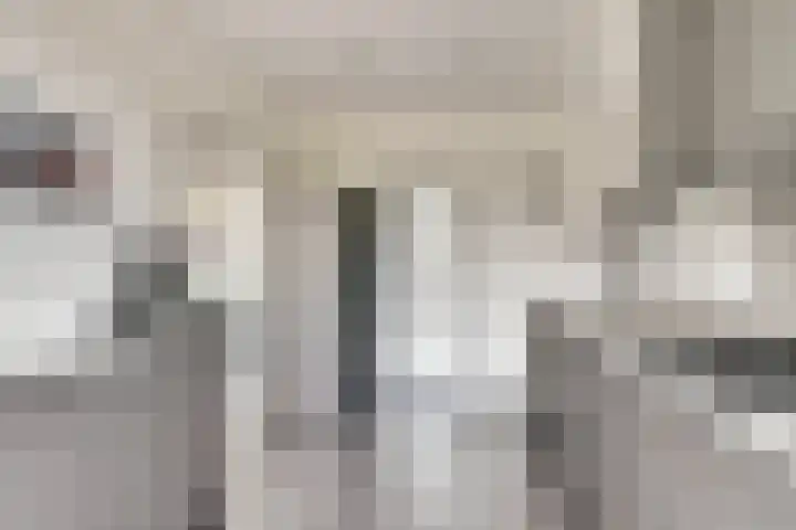Prins Bernhardstraat 3 Everdingen thumbnail 14